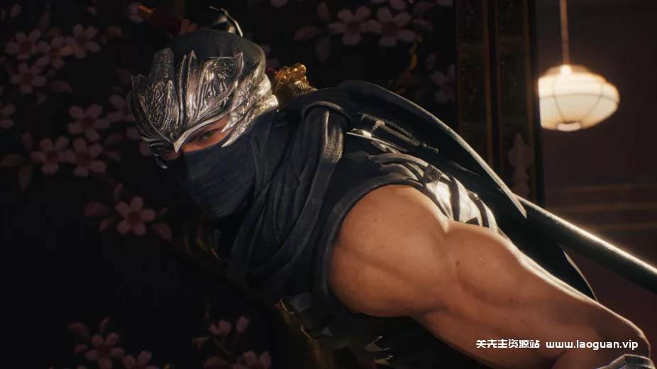 《忍者龙剑传2:黑之章》|官方中文|支持手柄|NINJA GAIDEN 2 Black - 关先生资源站-关先生资源站