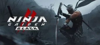 《忍者龙剑传2:黑之章》|官方中文|支持手柄|NINJA GAIDEN 2 Black（备用链接） - 关先生资源站-关先生资源站