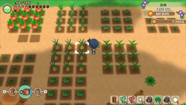 图片[5]-【Switch】牧场物语：重聚矿石镇-中文60帧 - 关先生资源站-关先生资源站