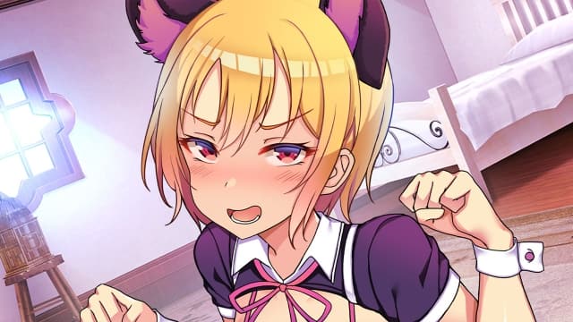 图片[2]-【Switch】动漫乐园Anime Paradise-v1.0.1-2dlc-中文-60帧 - 关先生资源站-关先生资源站