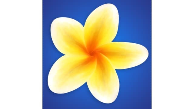 【Switch】奇娅Tchia-v1.1-中文30帧 - 关先生资源站-关先生资源站